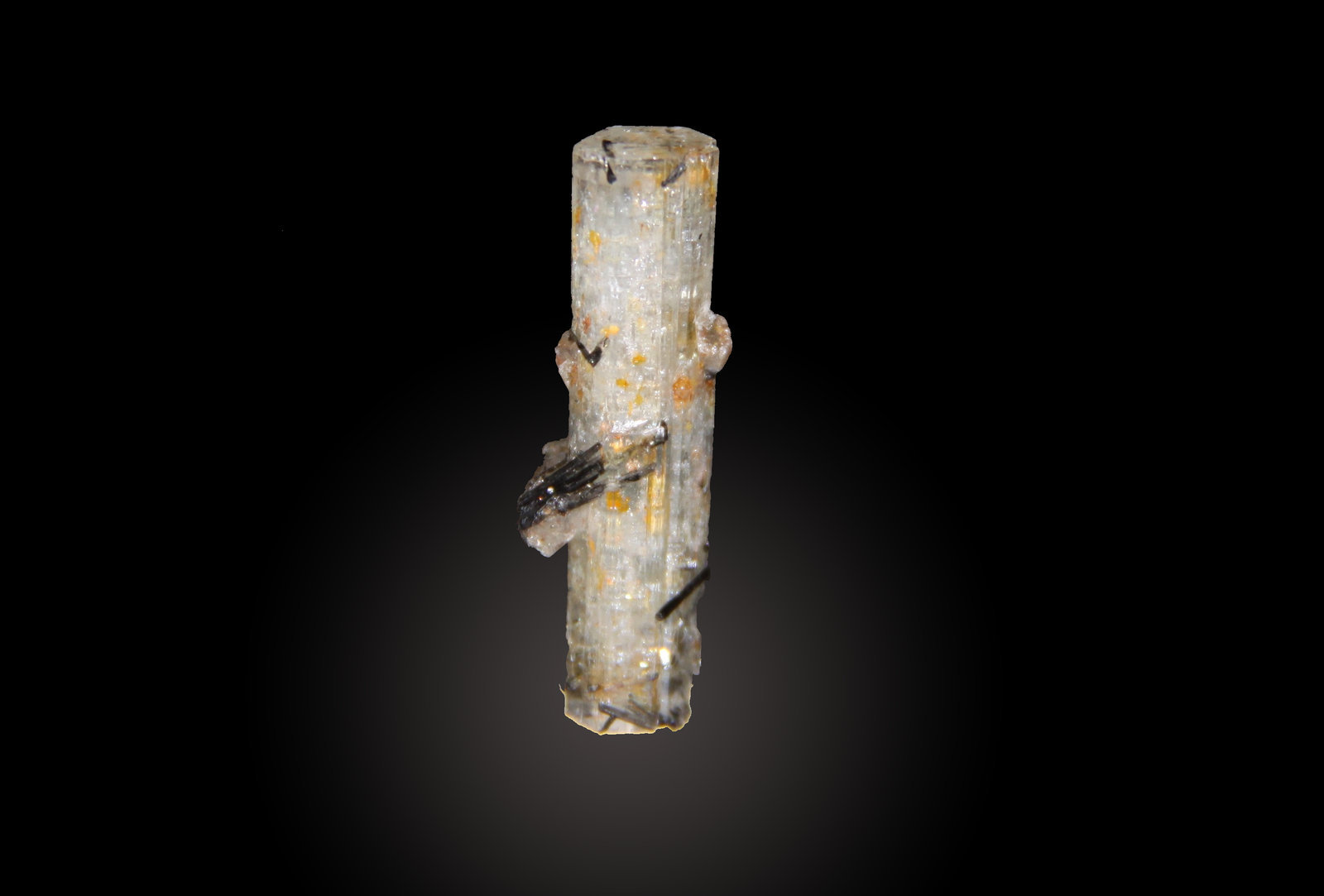 Beryl (variety aquamarine) and Schorl
14mm x 32mm x 9mm
(Autor: Firmo Espinar)