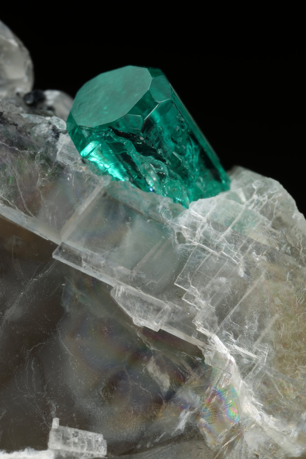 Beryl (variety emerald), Calcite
33x26x18mm (calcite xl), xls=8.5 & 4mm
(Autor: Fiebre Verde)