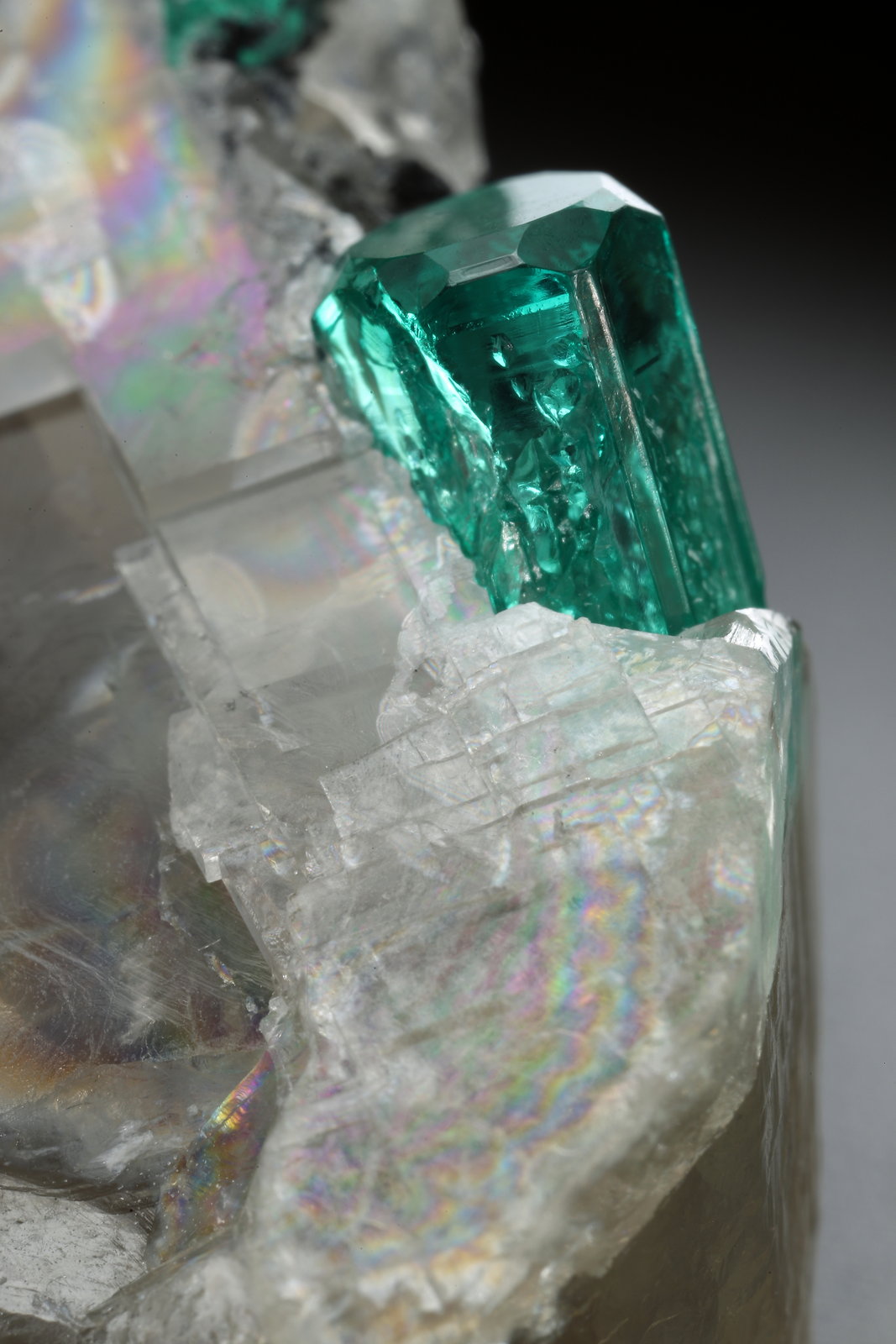 Beryl (variety emerald), Calcite
33x26x18mm (calcite xl), xls=8.5 & 4mm
(Autor: Fiebre Verde)
