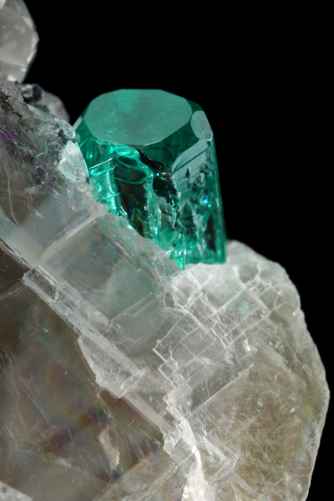 Beryl (variety emerald), Calcite
33x26x18mm (calcite xl), xls=8.5 & 4mm
(Autor: Fiebre Verde)