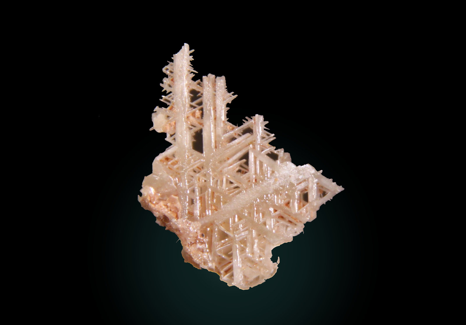 Cerussite
22mm x 14mm x 5mm
(Autor: Firmo Espinar)