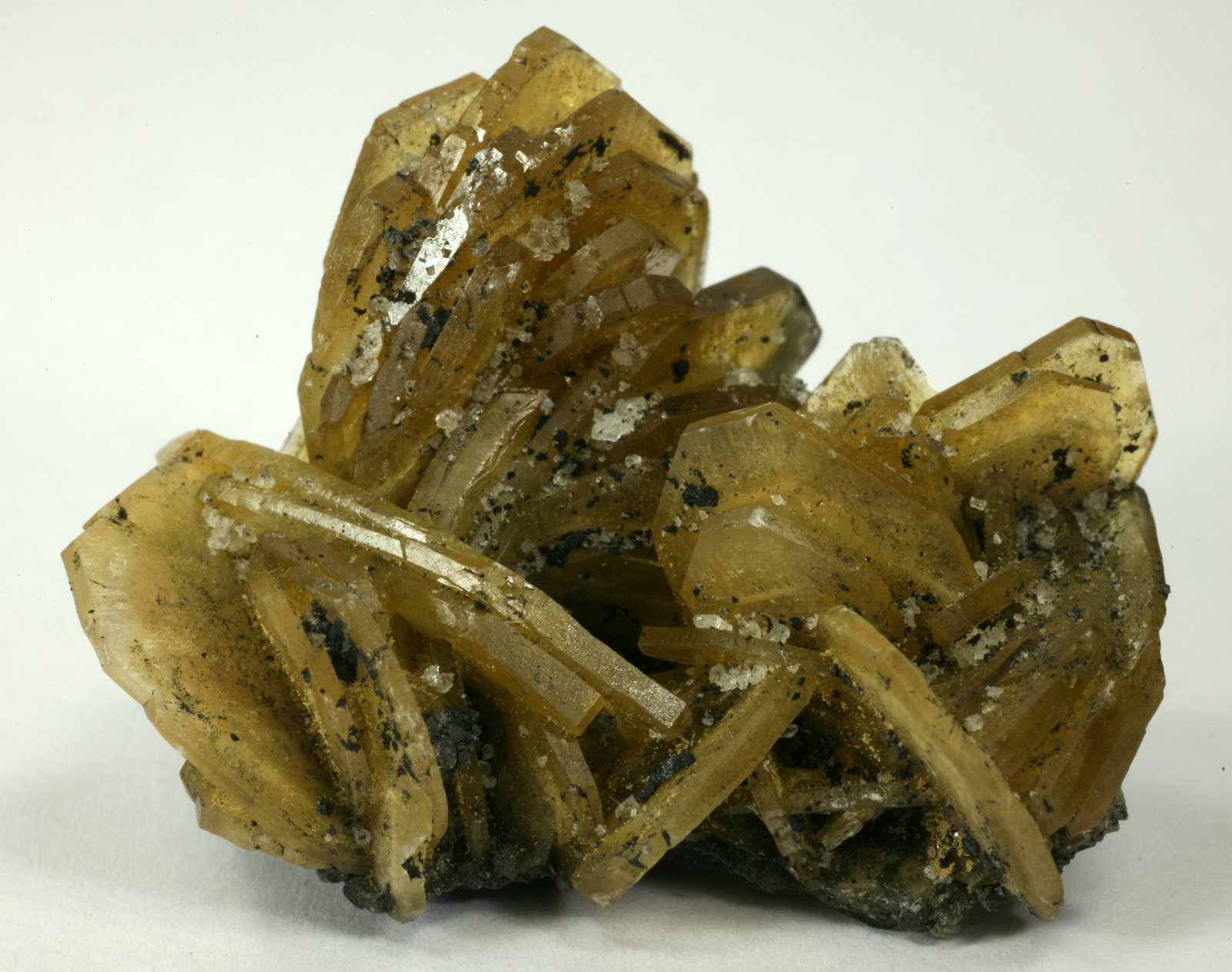 Barite, Calcite
4cm across
(Autor: Fiebre Verde)
