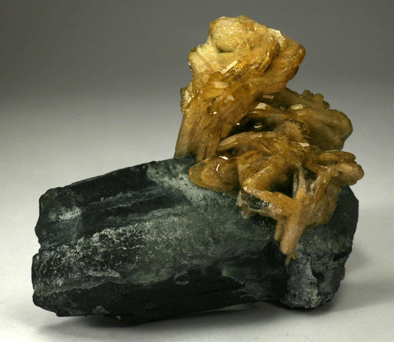 Barite
6cm across
(Autor: Fiebre Verde)