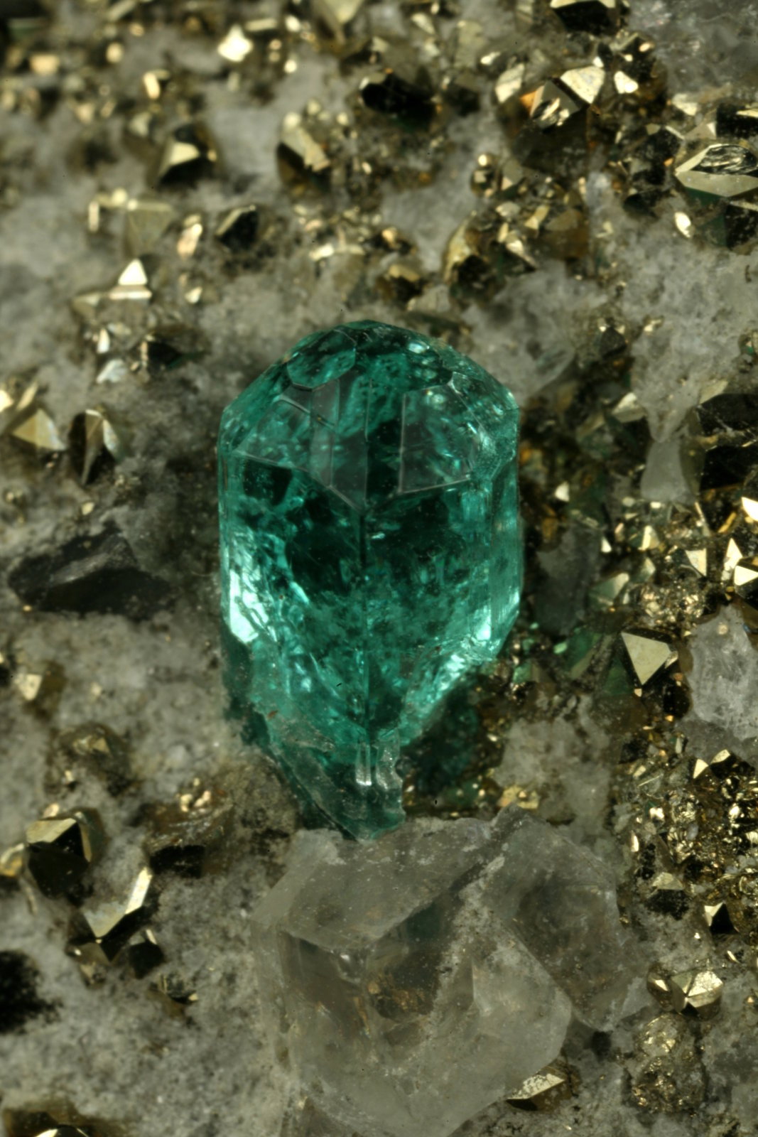 Beryl (variety emerald), Calcite, Pyrite
xl=5mm
(Autor: Fiebre Verde)