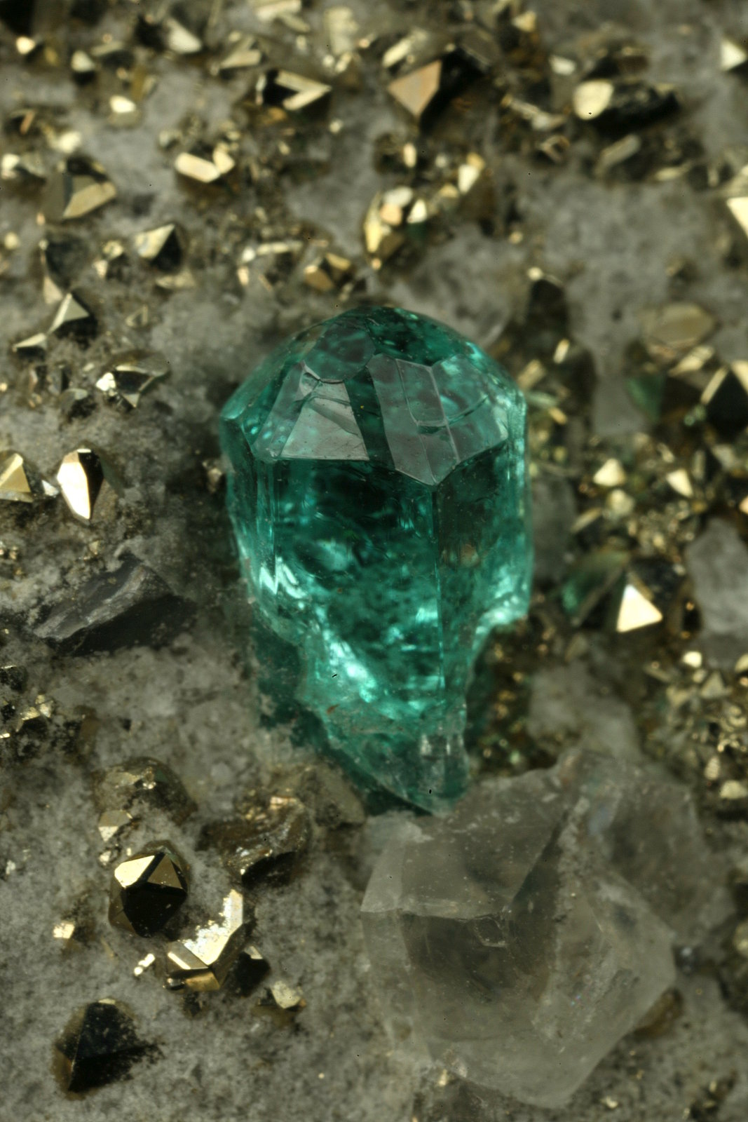 Beryl (variety emerald), Calcite, Pyrite
xl=5mm
(Autor: Fiebre Verde)