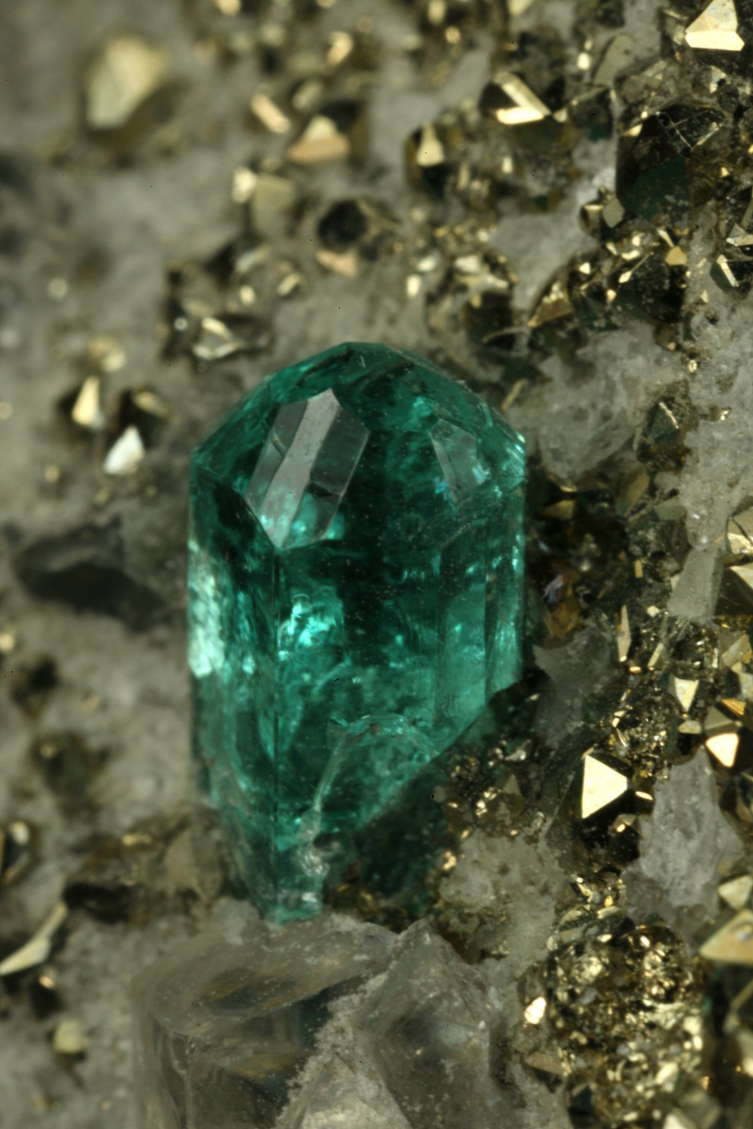 Beryl (variety emerald), Calcite, Pyrite
xl=5mm
(Autor: Fiebre Verde)