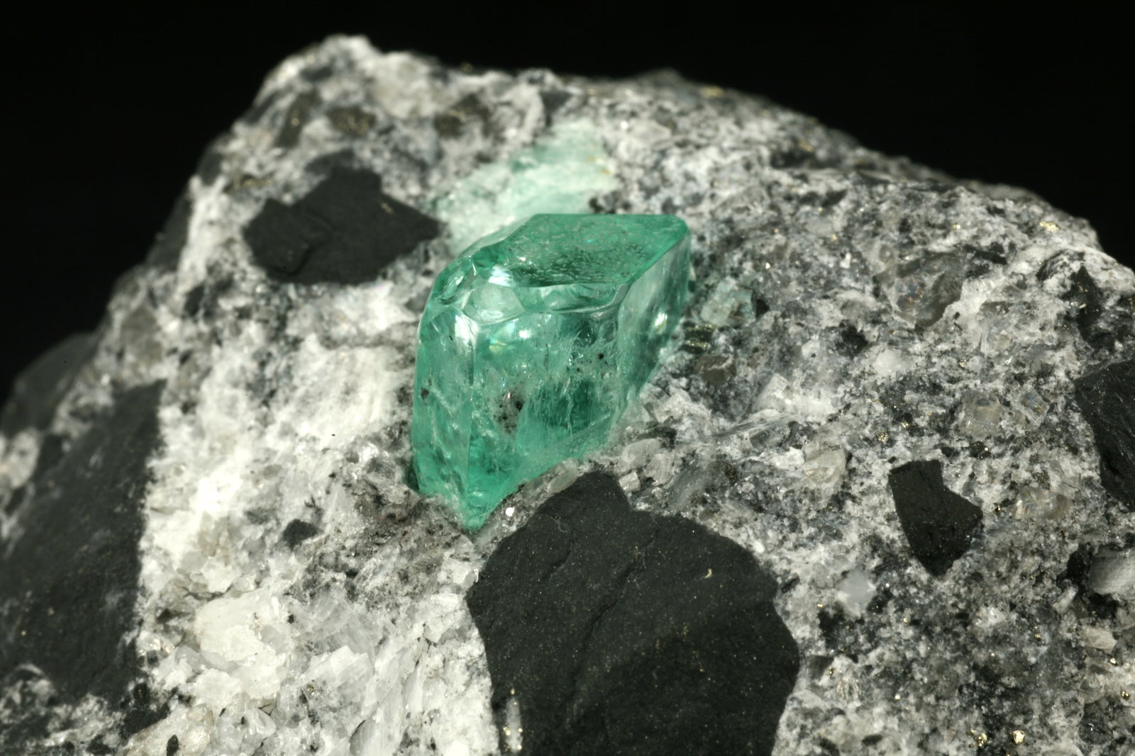 Beryl (variety emerald), Calcite, Pyrite
xl=7mm
(Autor: Fiebre Verde)