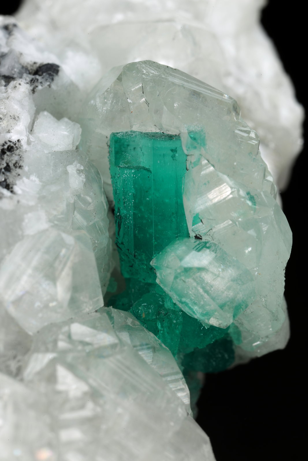 Beryl (variety emerald), Calcite
45x47x32mm, xl=15mm
(Autor: Fiebre Verde)