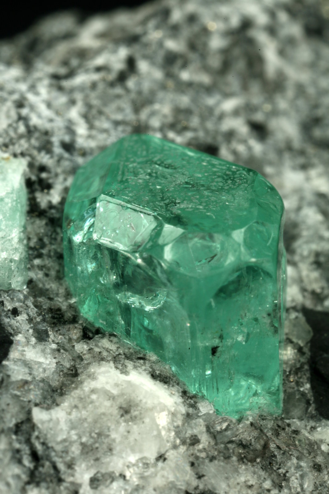 Beryl (variety emerald), Calcite, Pyrite
xl=7mm
(Autor: Fiebre Verde)