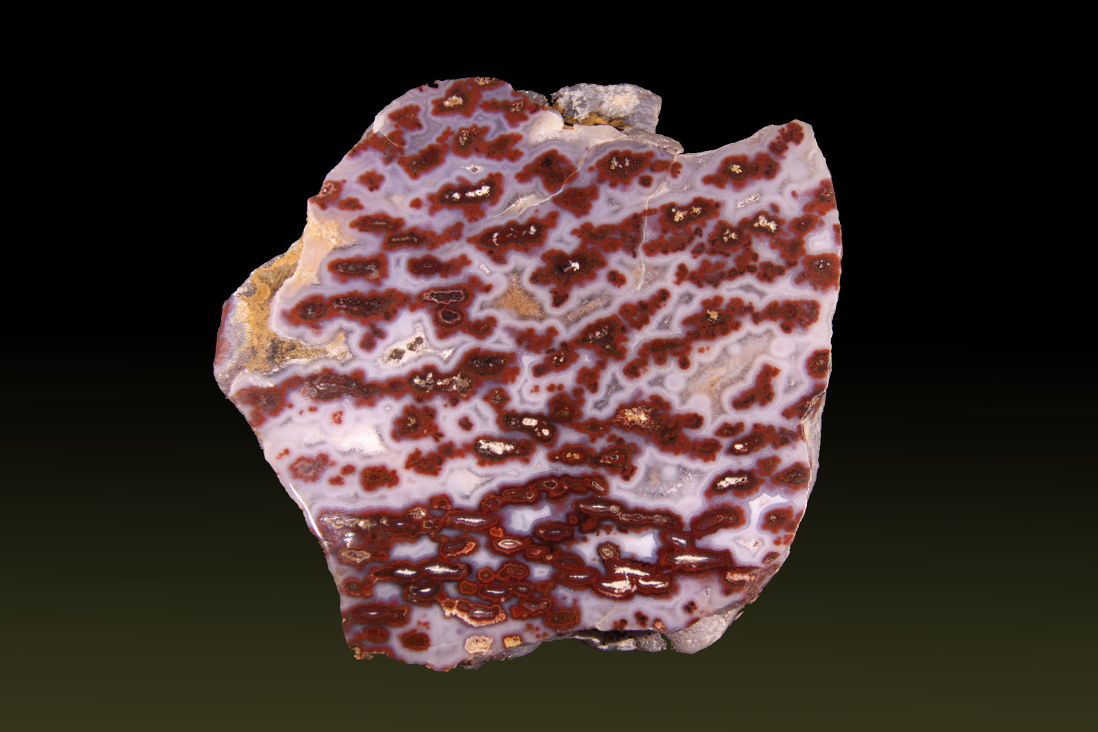Quartz (variety agate)
92mm x 93mm x 22mm
(Autor: Firmo Espinar)