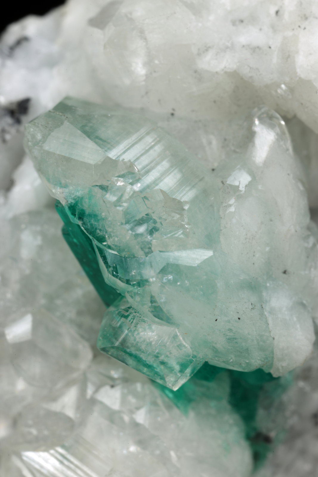 Beryl (variety emerald), Calcite
45x47x32mm, xl=15mm
(Autor: Fiebre Verde)