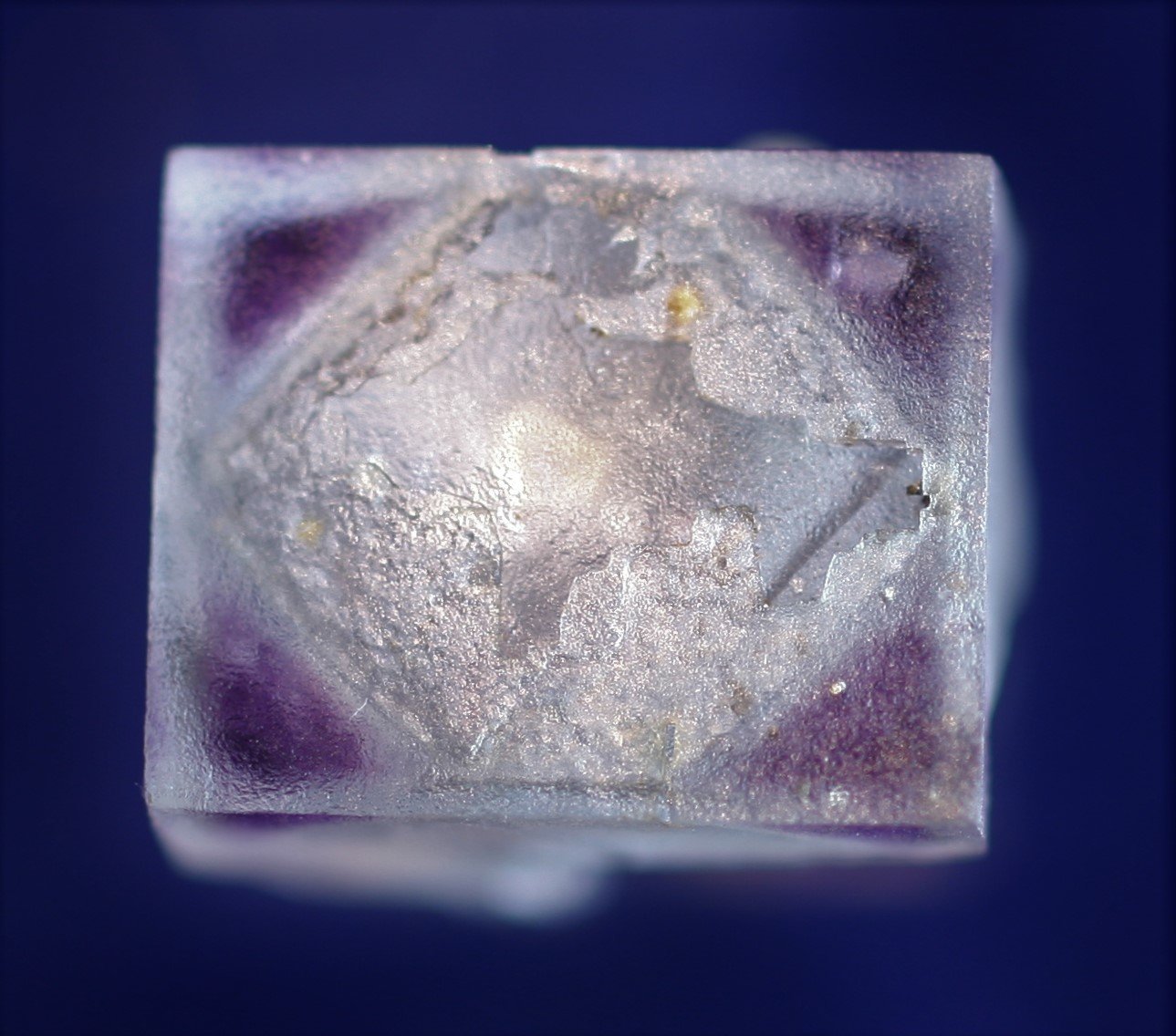 Fluorite
1.3 cm
(Autor: Bob Carnein)