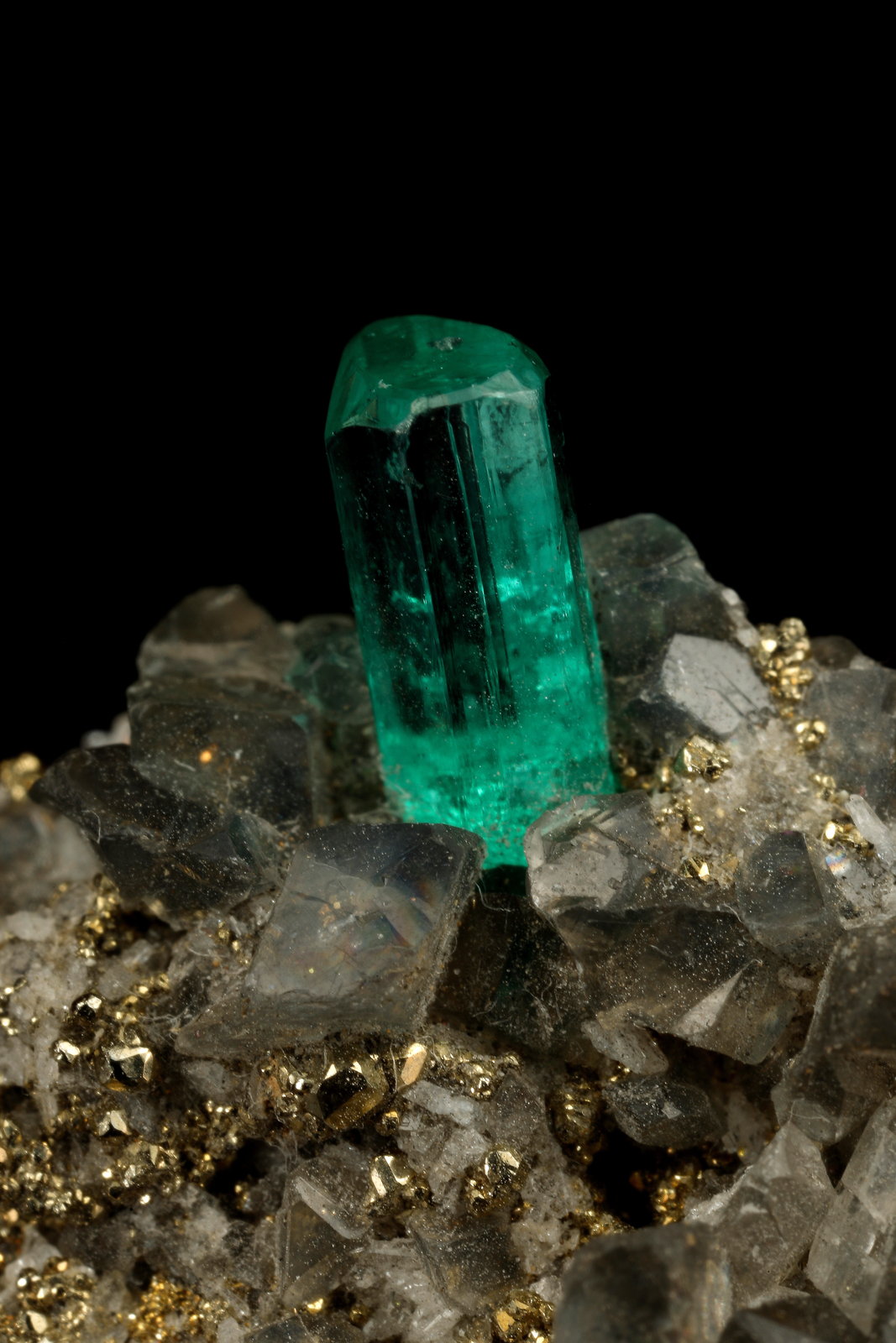 Beryl (variety emerald), Calcite, Pyrite
19x14x21mm, xl=7mm
(Autor: Fiebre Verde)