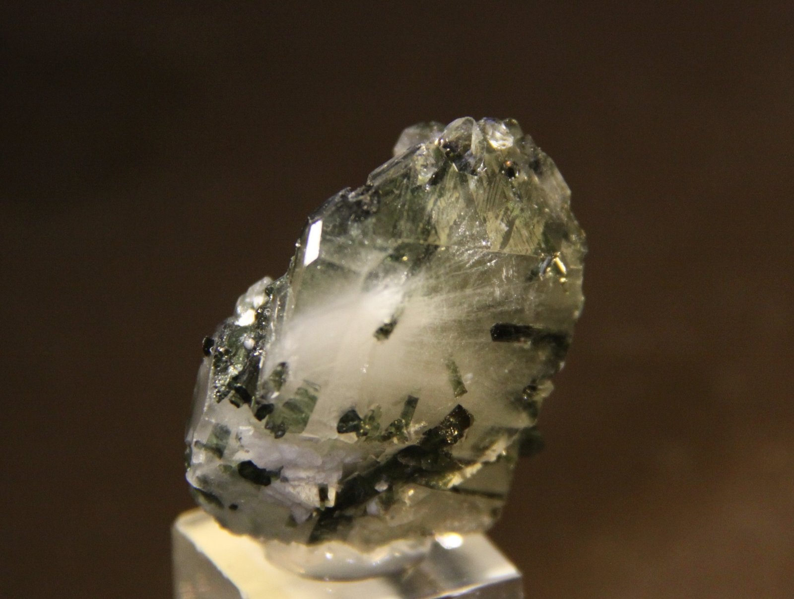Quartz, Elbaite (variety verdelite)
37mm X 39mm X 25mm
(Autor: Firmo Espinar)