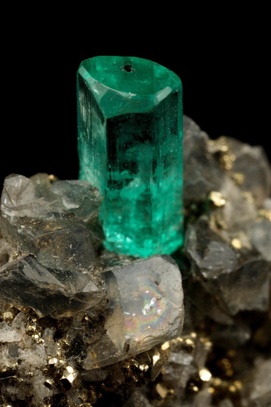 Beryl (variety emerald), Calcite, Pyrite
19x14x21mm, xl=7mm
(Autor: Fiebre Verde)