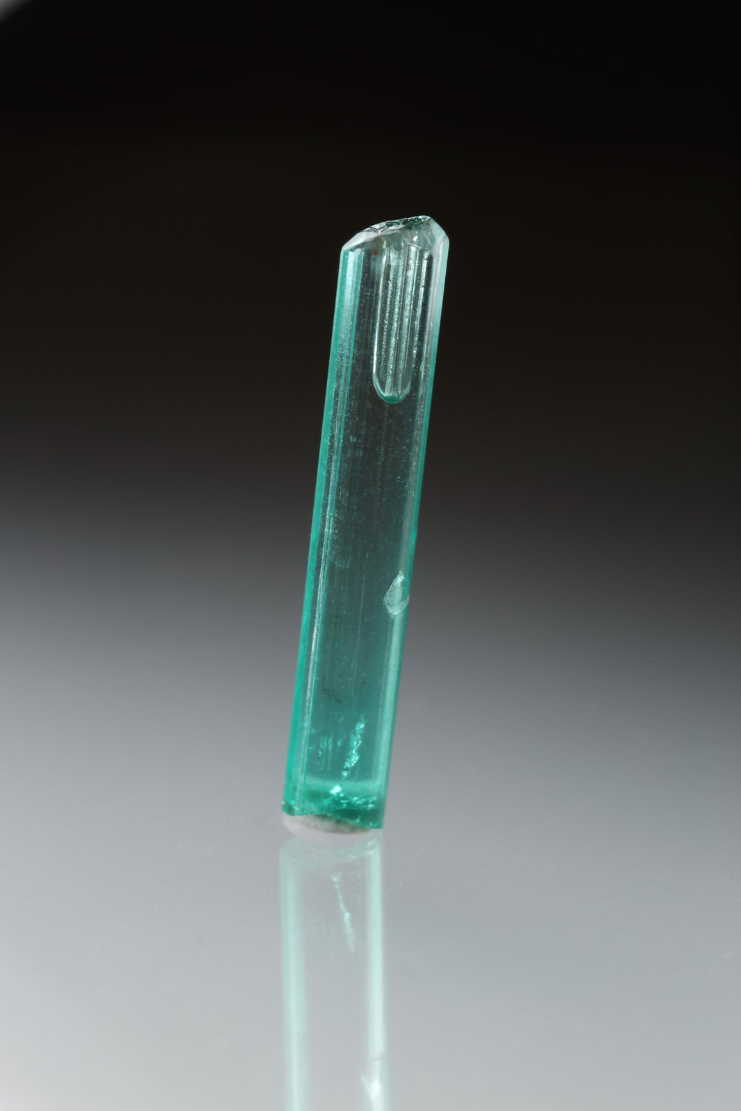 Beryl (variety emerald)
20mm
(Autor: Fiebre Verde)