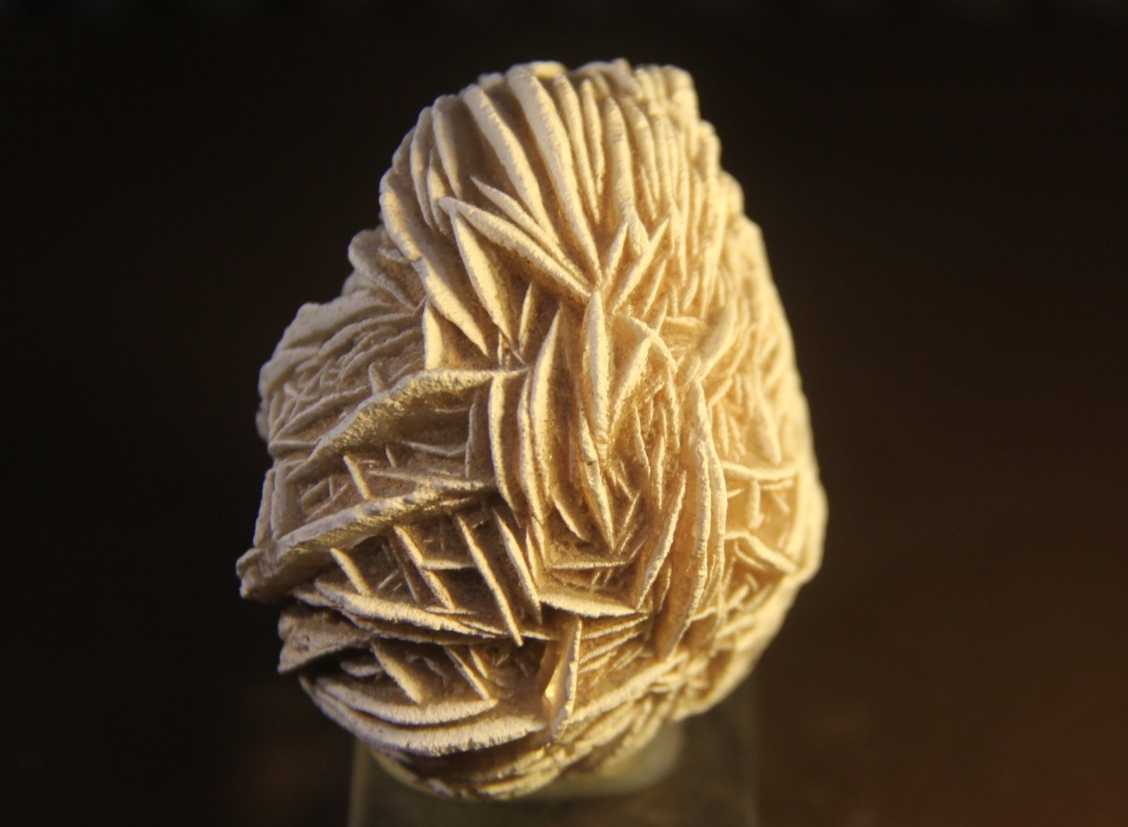 Gypsum
54mm x 56mm x 42mm
(Autor: Firmo Espinar)