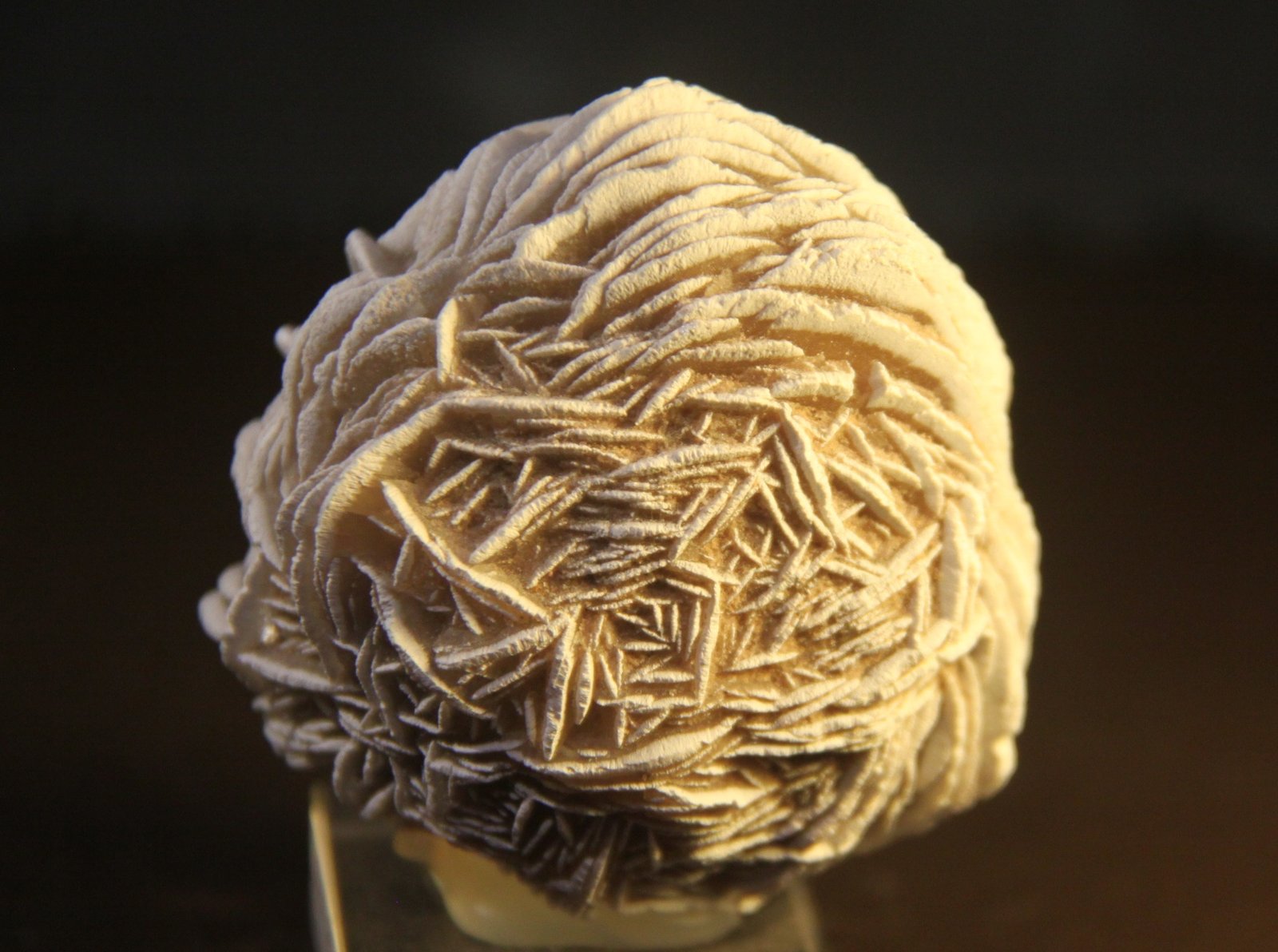 Gypsum
54mm x 56mm x 42mm
(Autor: Firmo Espinar)