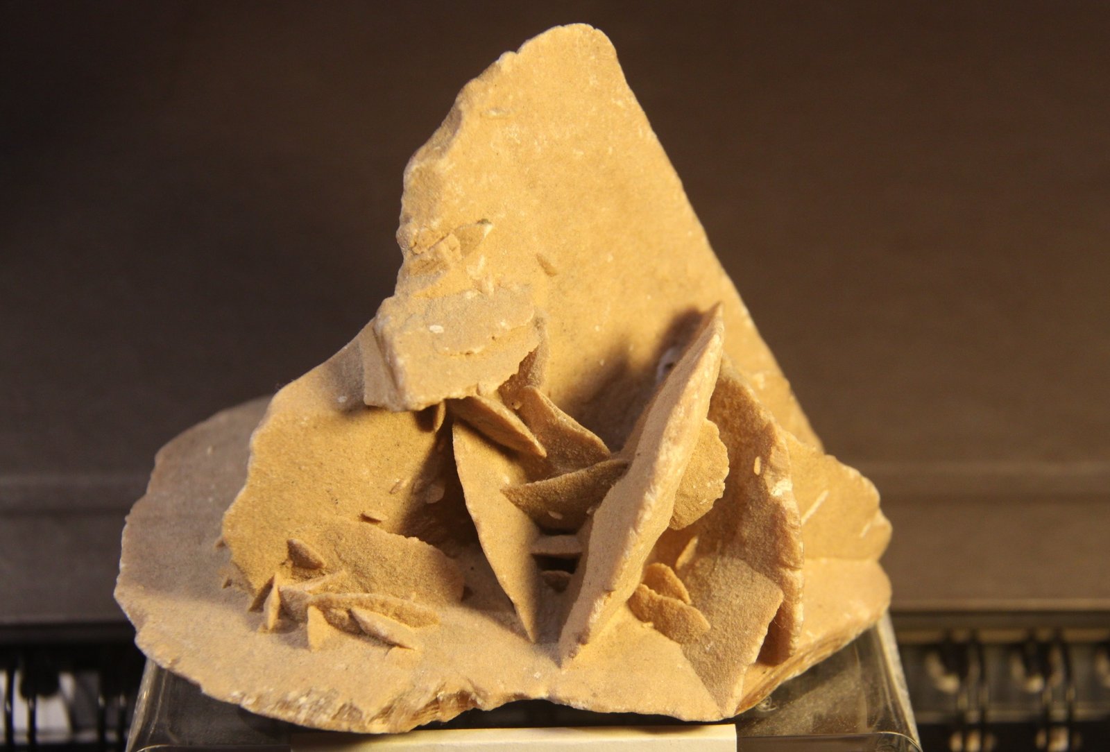 Gypsum
11cm x 7cm x 11 cm
(Autor: Firmo Espinar)