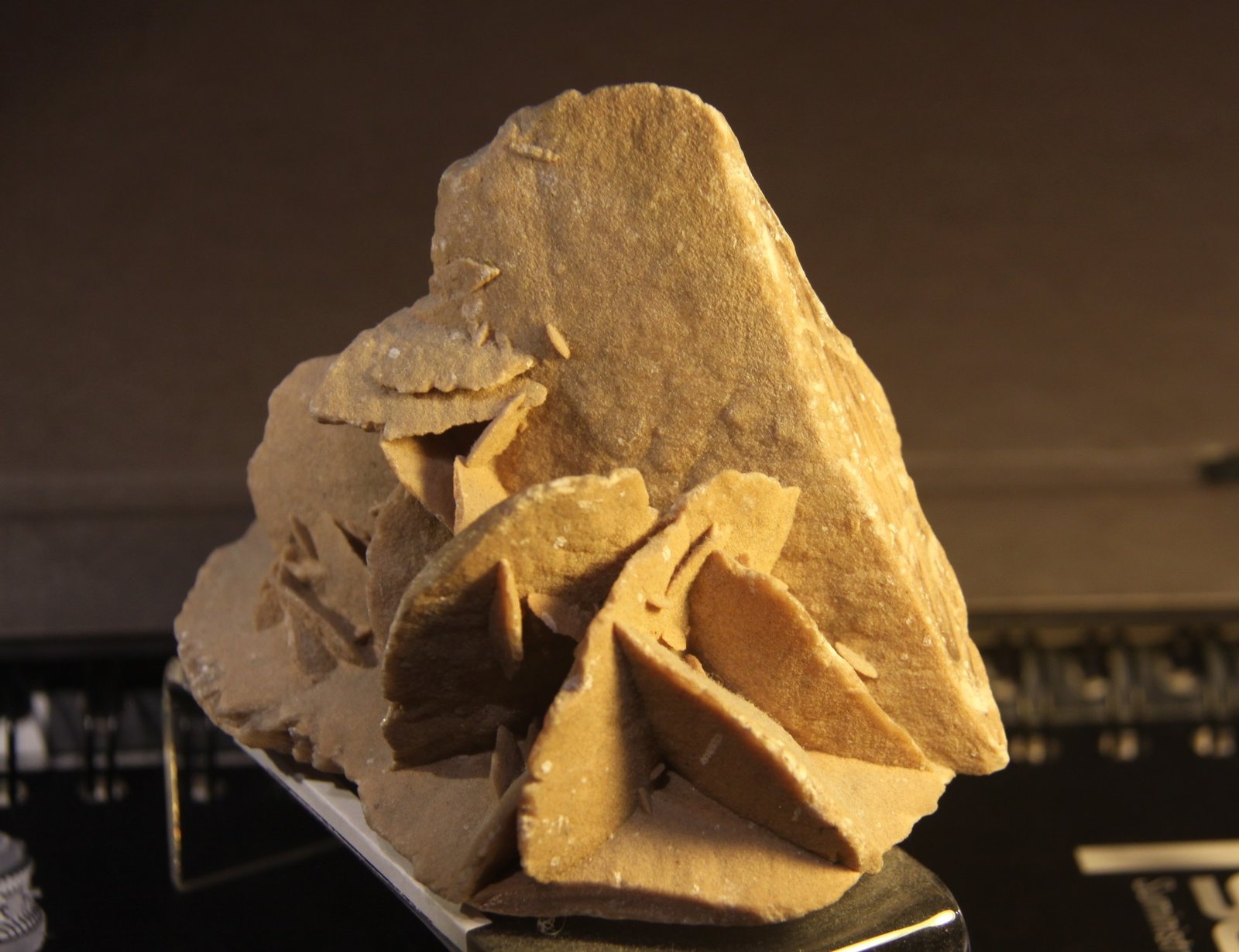 Gypsum
11cm x 7cm x 11 cm
(Autor: Firmo Espinar)