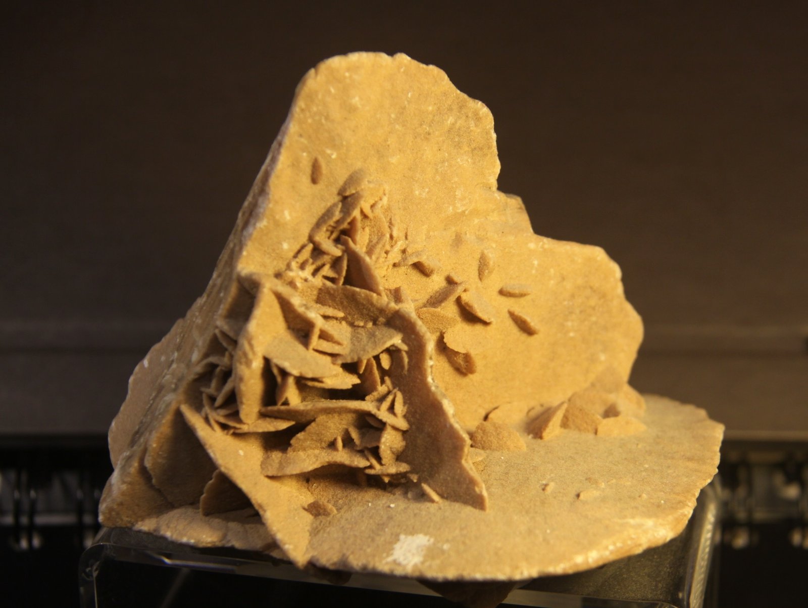 Gypsum
11cm x 7cm x 11 cm
(Autor: Firmo Espinar)