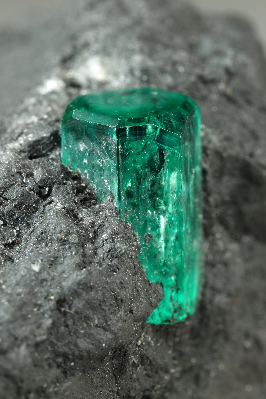 Beryl (variety emerald)
37x20x32mm, xls=10 & 7.5mm
(Autor: Fiebre Verde)