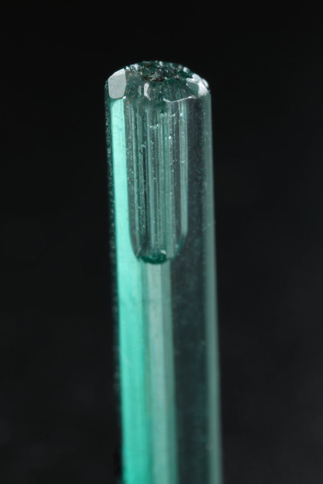 Beryl (variety emerald)
20mm
(Autor: Fiebre Verde)