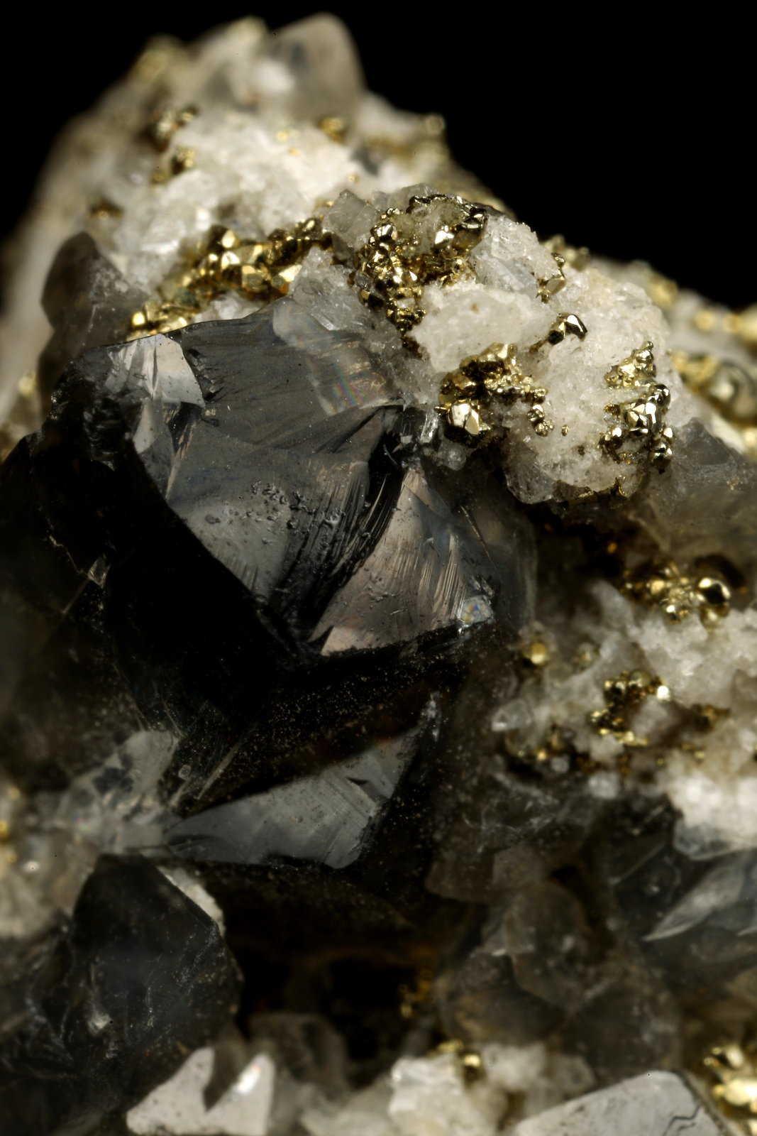 Beryl (variety emerald), Calcite, Pyrite
19x14x21mm, xl=7mm
(Autor: Fiebre Verde)