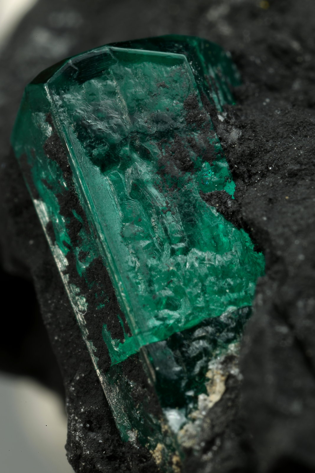 Beryl (variety emerald)
37x20x32mm, xls=10 & 7.5mm
(Autor: Fiebre Verde)