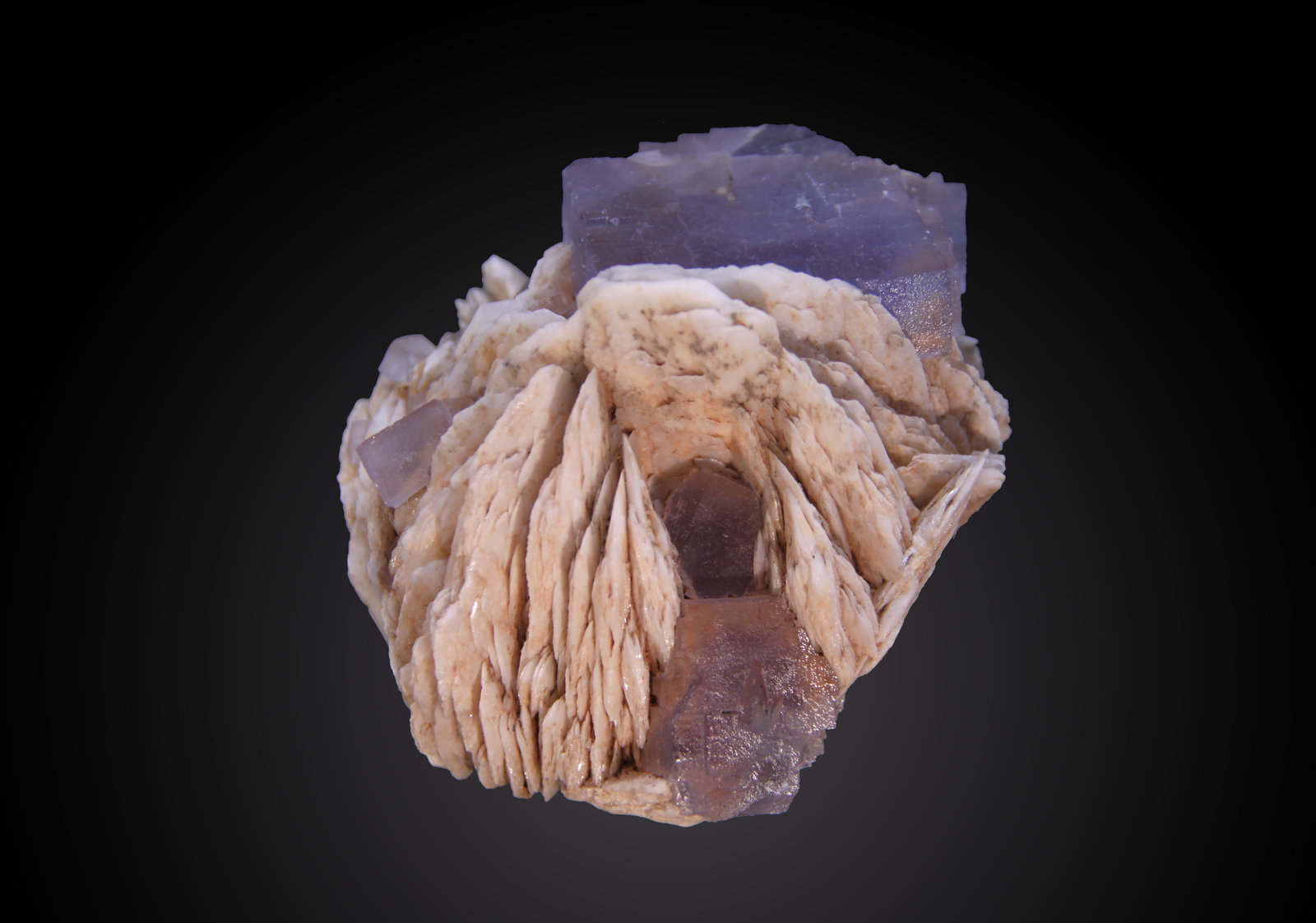 Fluorite
92mm x 82mm x 67mm.
(Autor: Firmo Espinar)