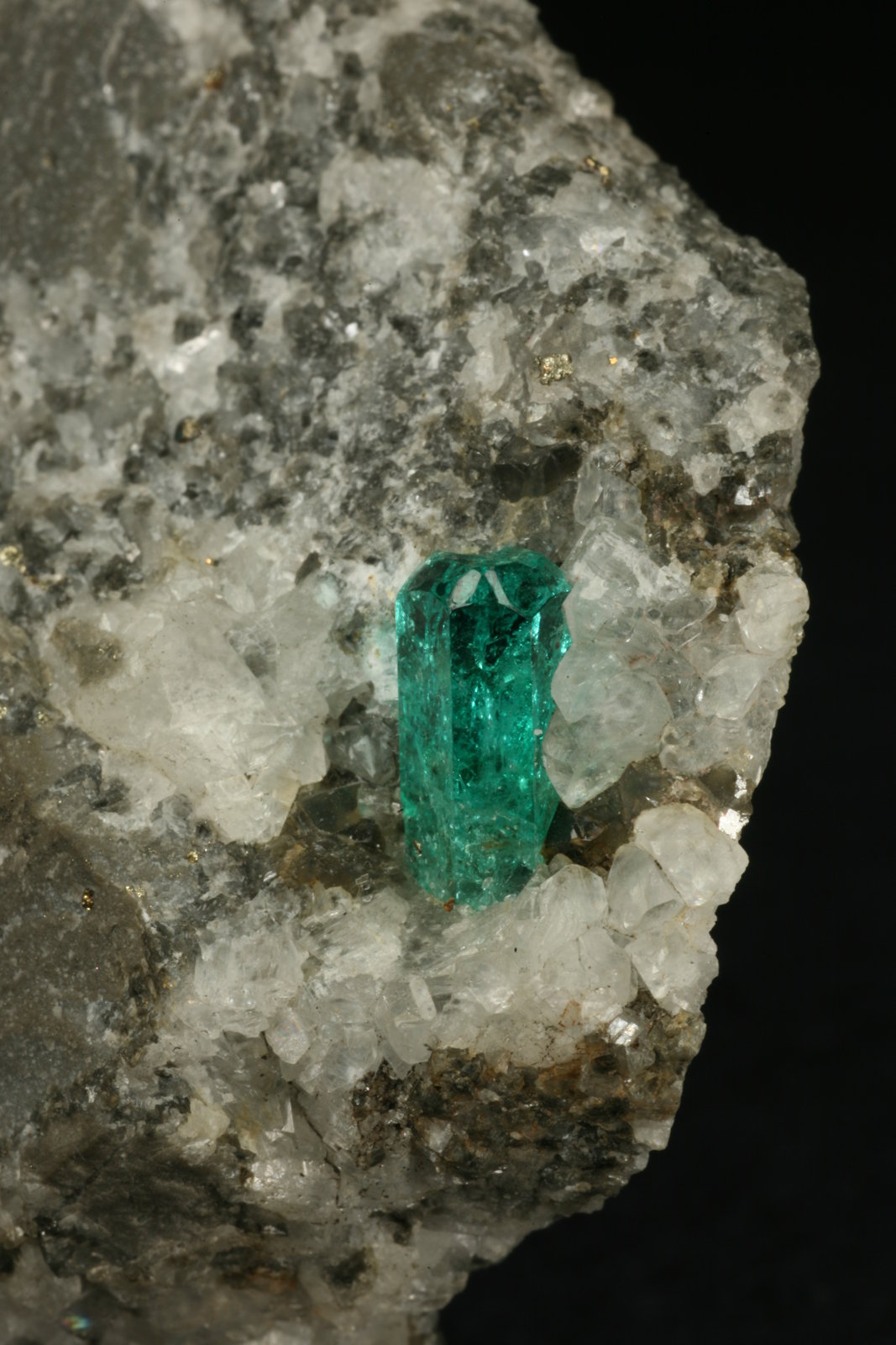 Beryl (variety emerald), Calcite, Pyrite
Detail - xl=9mm
(Autor: Fiebre Verde)