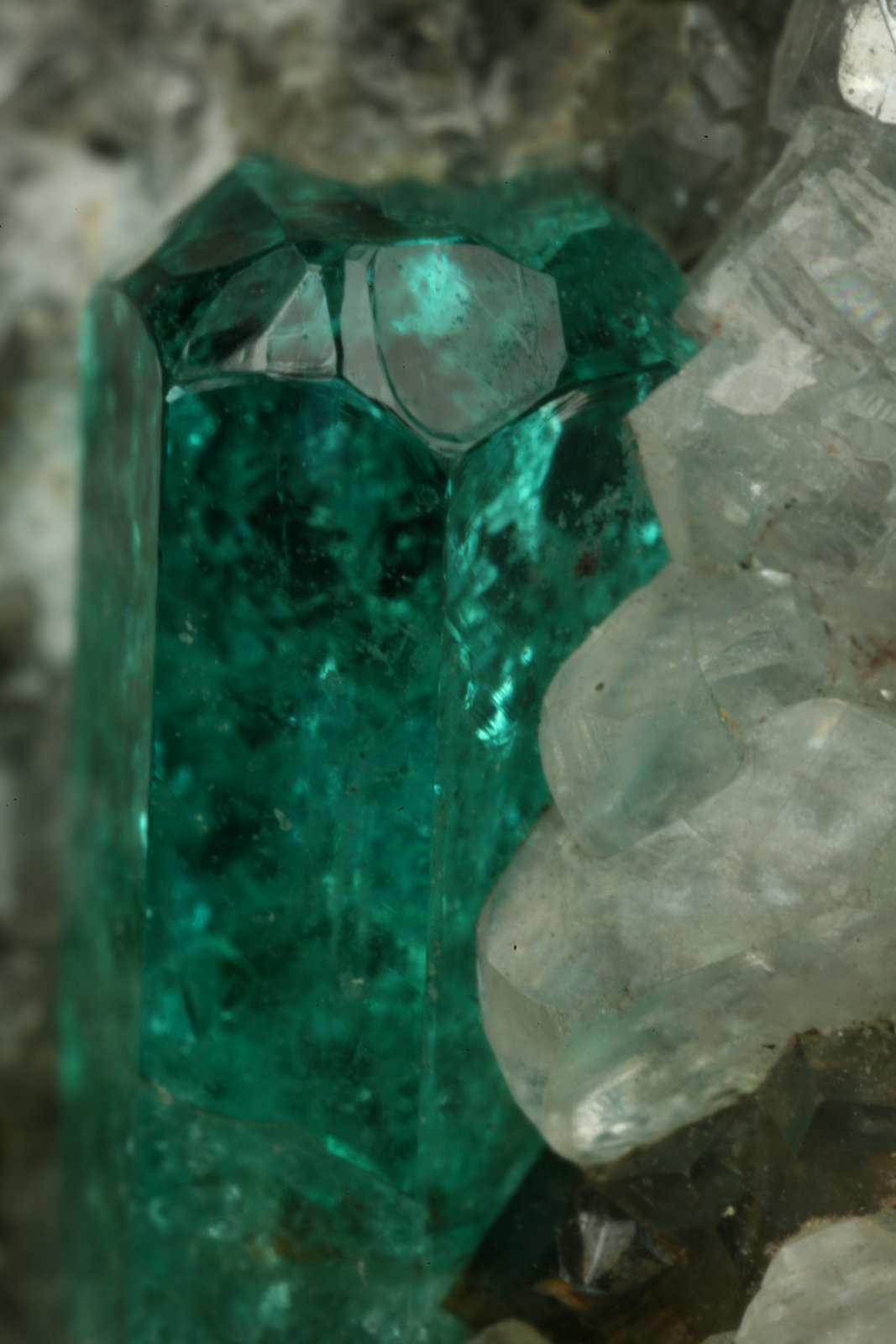 Beryl (variety emerald), Calcite, Pyrite
Detail - xl=9mm
(Autor: Fiebre Verde)