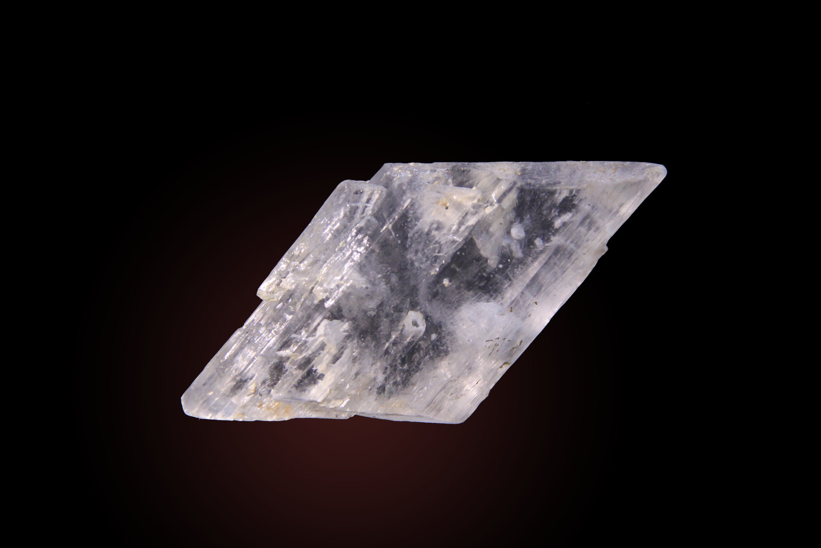 Gypsum
58mm x 30mm x 14mm
(Autor: Firmo Espinar)
