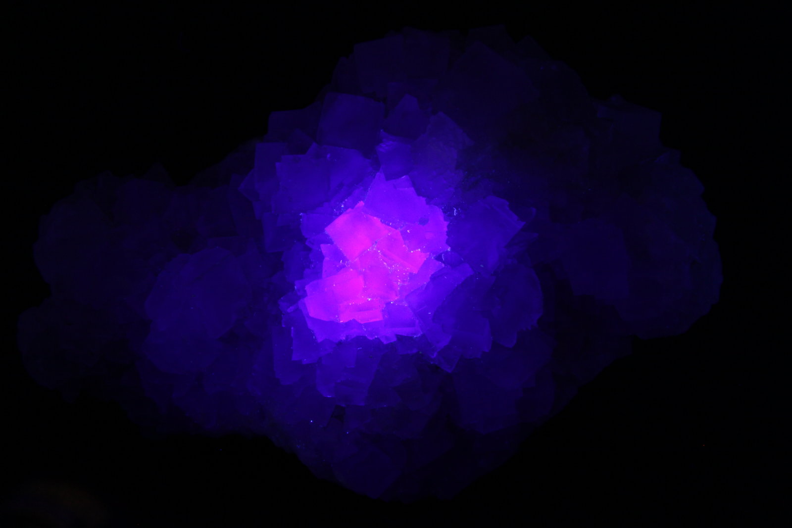 Fluorite
137mm x 92mm x 54mm
(Autor: Firmo Espinar)