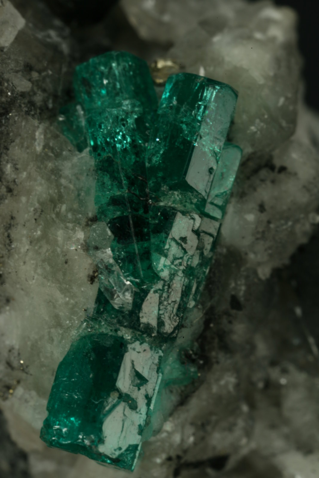 Beryl (variety emerald), Calcite, Pyrite, Quartz
60x35mm, main xl=16mm
(Autor: Fiebre Verde)