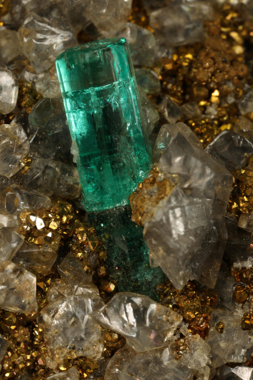 Beryl (Var. Emerald), Dolomite, Pyrite
63x45x15mm, main xl=10mm
(Autor: Fiebre Verde)