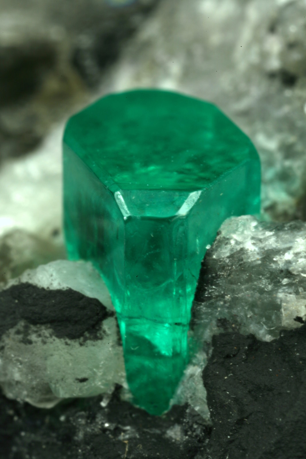 Beryl (variety emerald), Calcite, Pyrite
35x45mm, xl=6mm
(Autor: Fiebre Verde)
