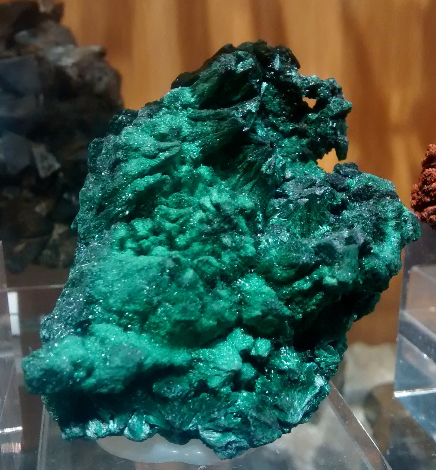 Malachite
47 mm x 52 mm x 34 mm
(Autor: Firmo Espinar)