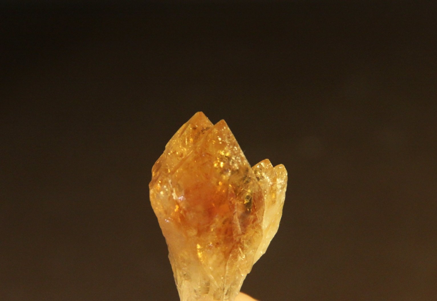 Quartz
18mm x 33mm x 12mm
(Autor: Firmo Espinar)