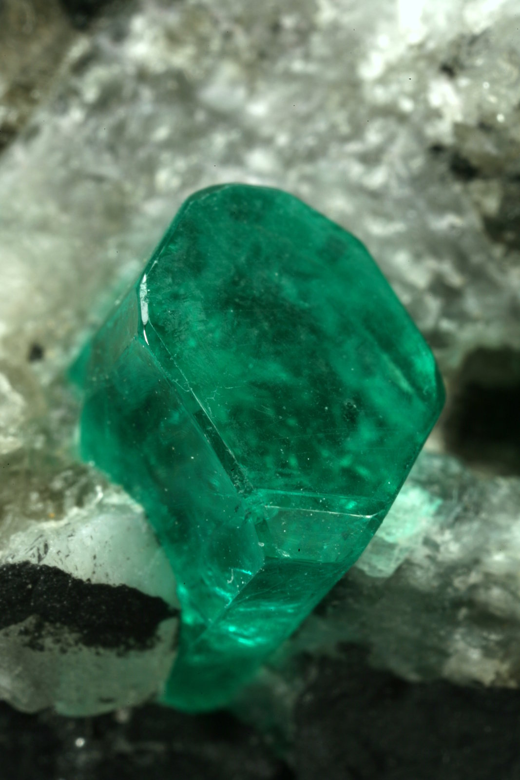 Beryl (variety emerald), Calcite, Pyrite
35x45mm, xl=6mm
(Autor: Fiebre Verde)