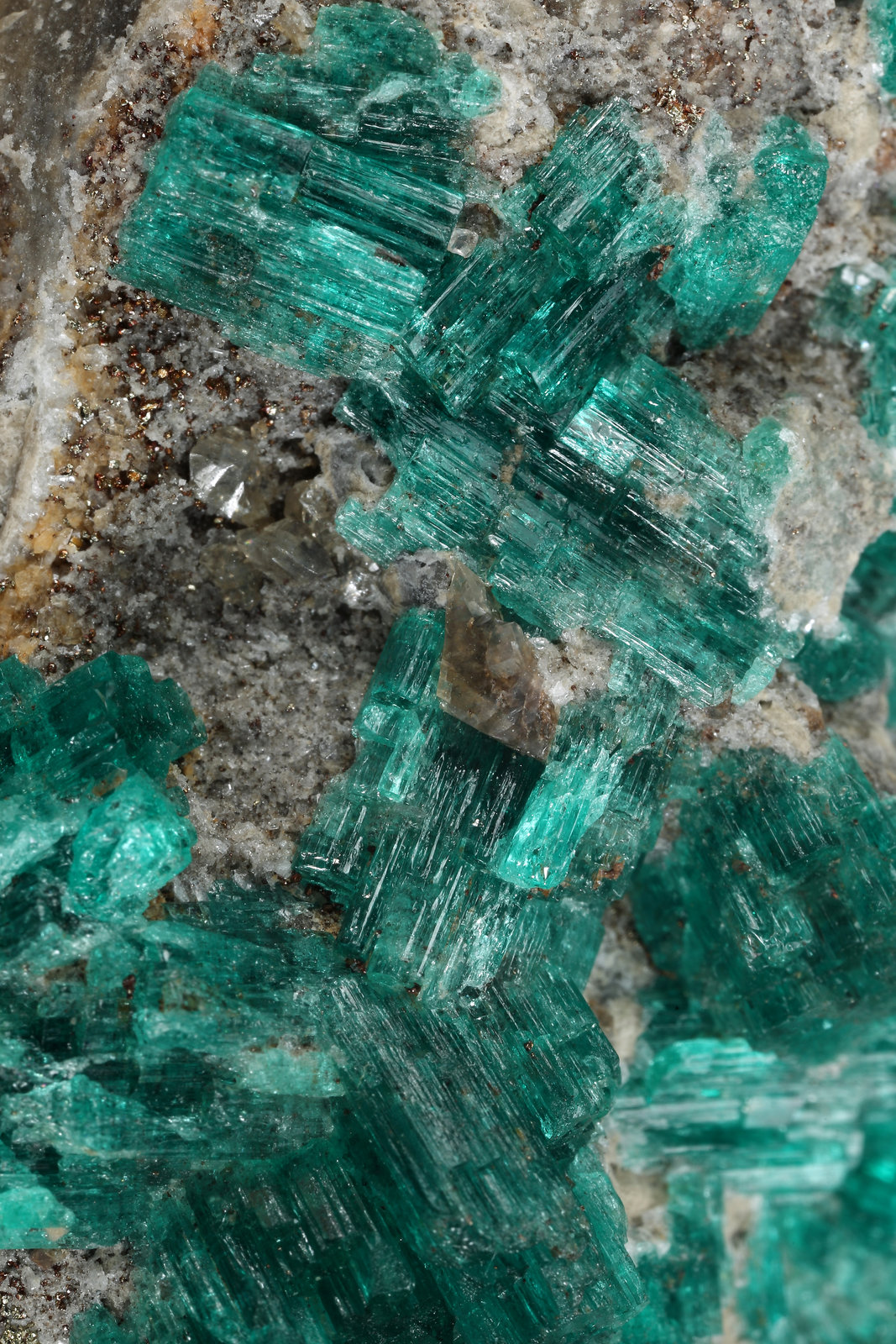 Beryl (variety emerald), Pyrite, Calcite, Ankerite
70mm x 94mm x 76mm
(Autor: Fiebre Verde)