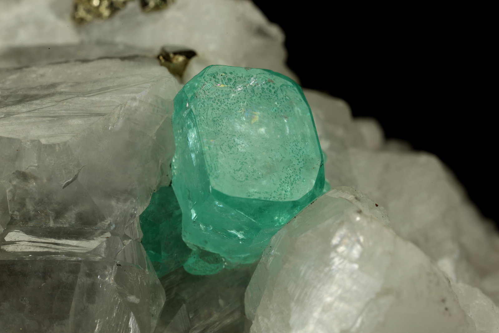 Beryl (Var. Emerald), Calcite, Pyrite
85x62x64mm, xl=8x9mm
(Autor: Fiebre Verde)