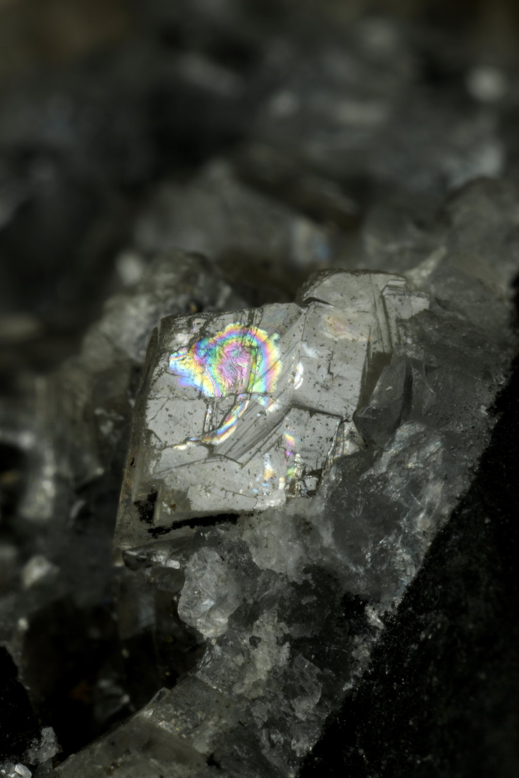 Beryl (variety emerald), Calcite, Dolomite, Pyrite
27x30x33mm, xl=9x6mm
(Autor: Fiebre Verde)