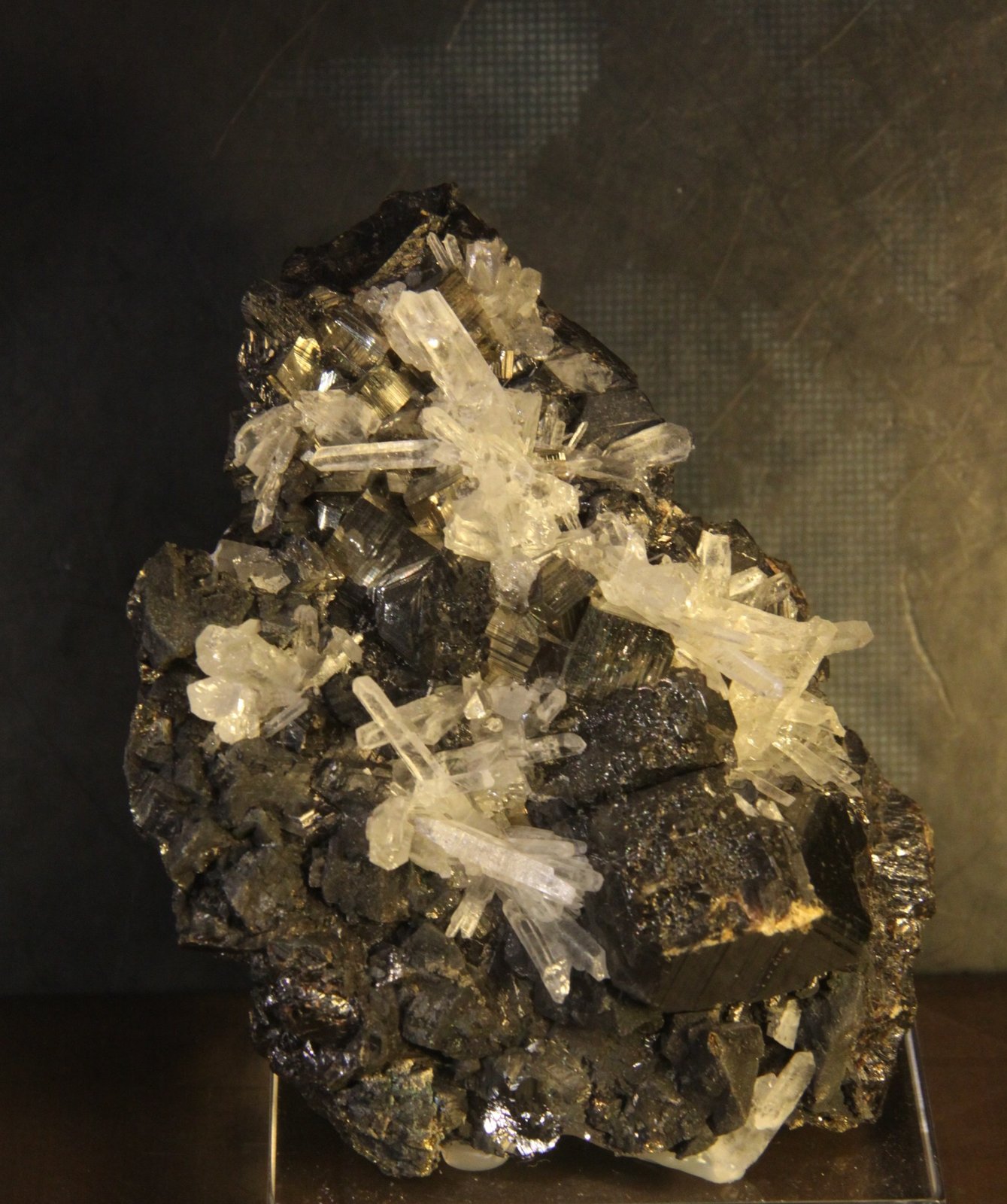 Sphalerite, Pyrite and Quartz
67mm x 90mm x 42mm
(Autor: Firmo Espinar)