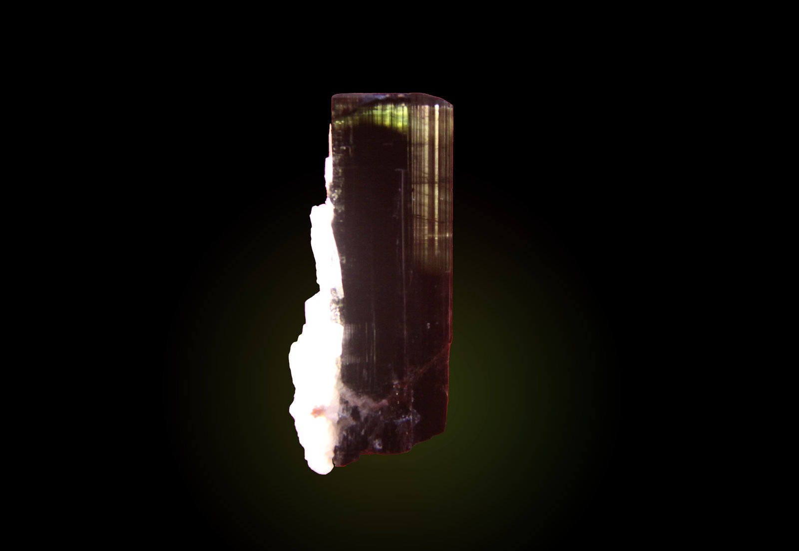 Elbaite and Albite (variety clevelandite)
15mm x 34mm x 16mm
(Autor: Firmo Espinar)