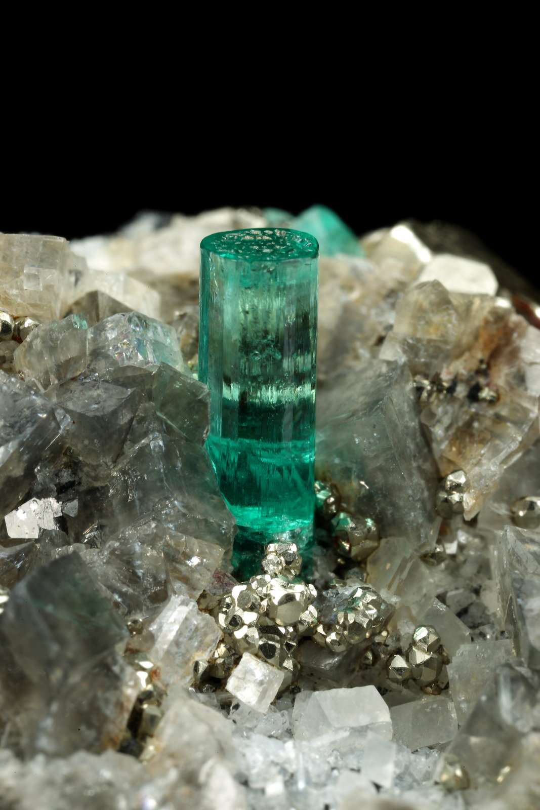Beryl (variety emerald), Albite (variety cleavelandite), Pyrite, Calcite
44x23x24mm, main xl=8mm
(Autor: Fiebre Verde)
