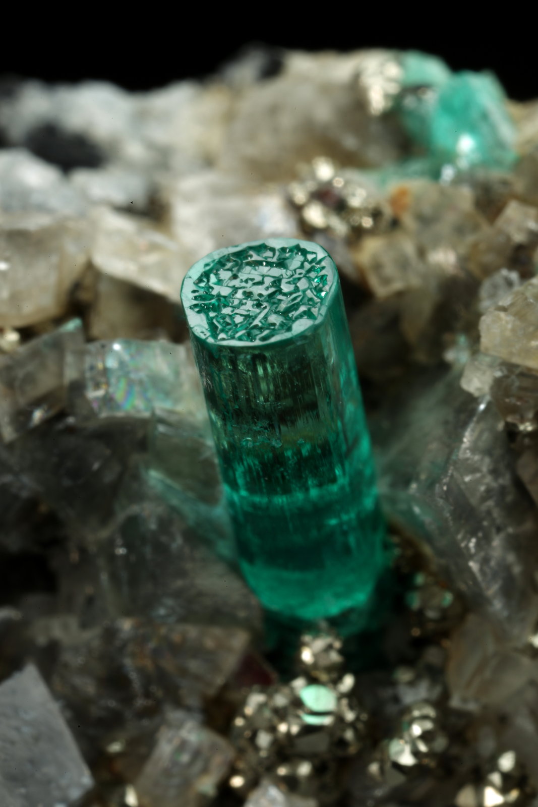 Beryl (variety emerald), Albite (variety cleavelandite), Pyrite, Calcite
44x23x24mm, main xl=8mm
(Autor: Fiebre Verde)