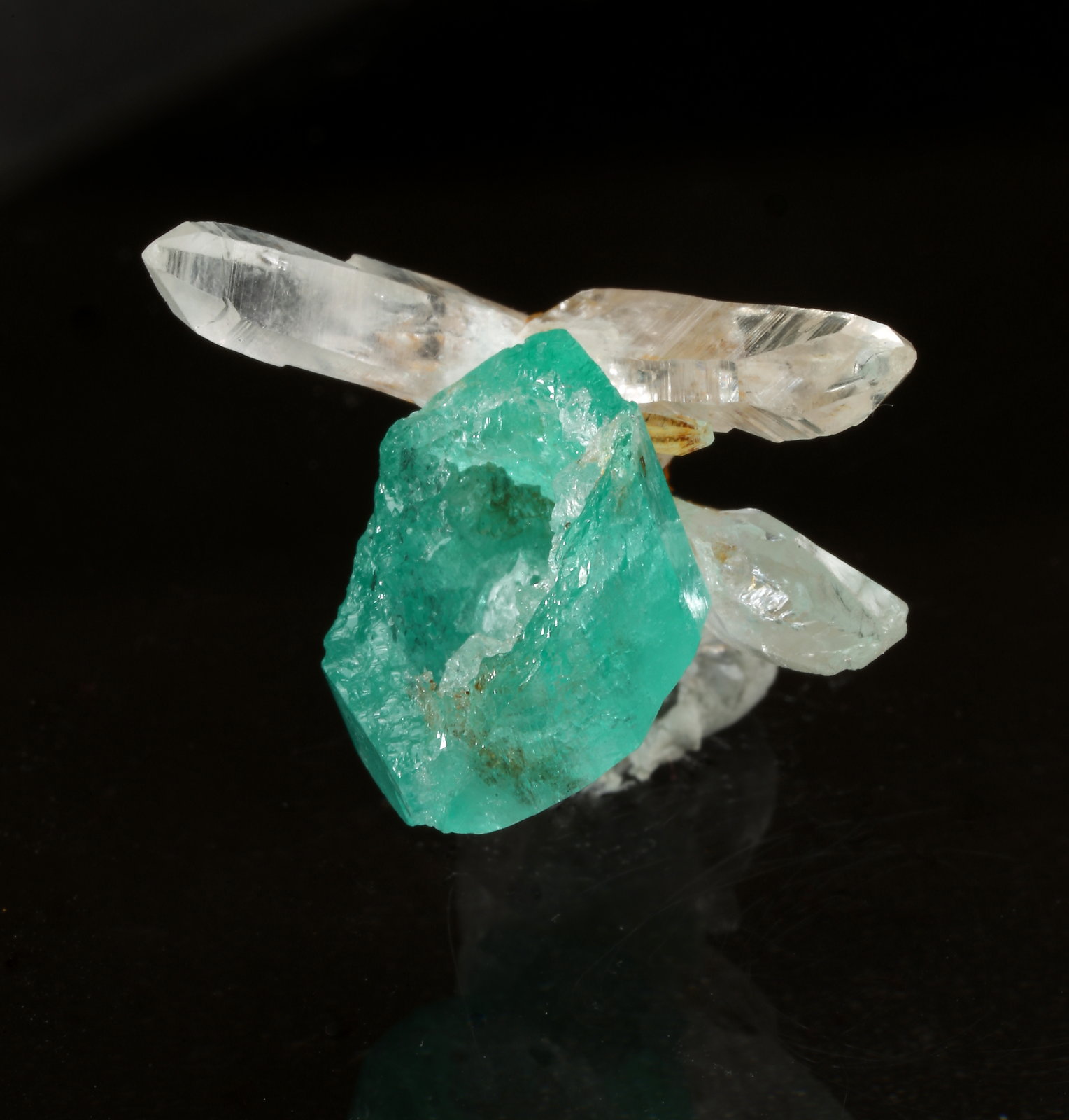 Beryl (variety emerald), Quartz
xl=11.5mm x 12mm
(Autor: Fiebre Verde)