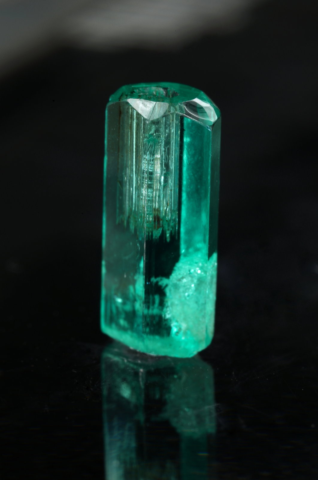 Beryl (variety emerald)
xl=5x11mm
(Autor: Fiebre Verde)