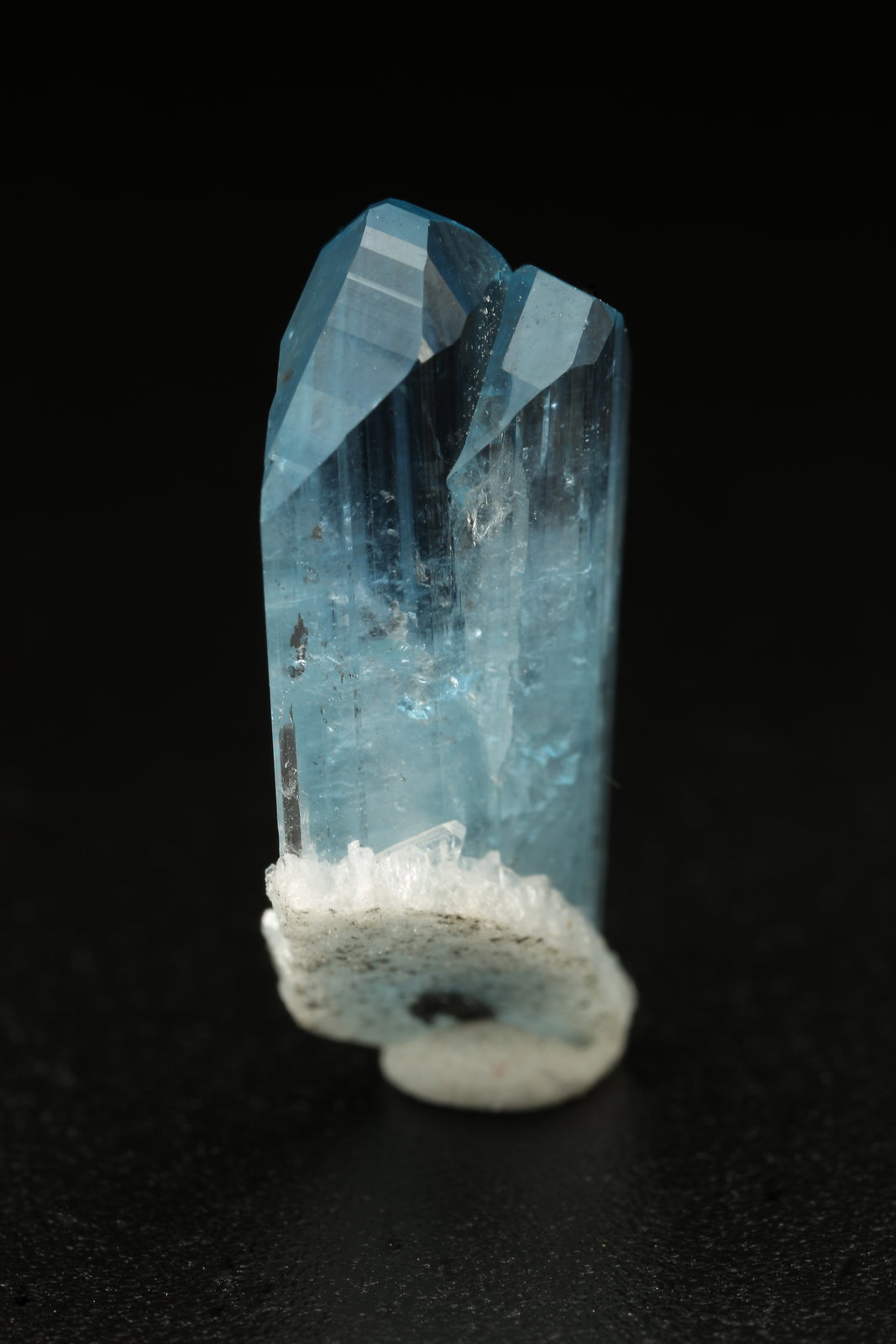 Euclase, Albite (variety cleavelandite)
10x21x7mm
(Autor: Fiebre Verde)